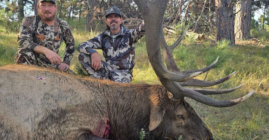 799-21 Permit 2X1 Archery Elk Hunt