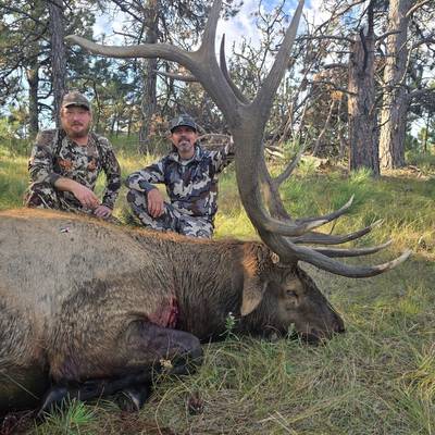 799-21 Permit 2X1 Archery Elk Hunt