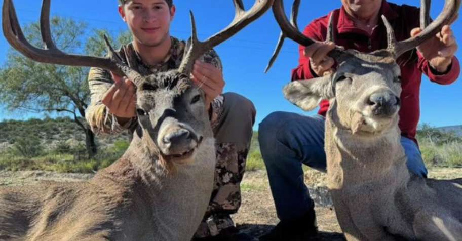 TEXAN WHITE TAILS HIGH FENCE '26