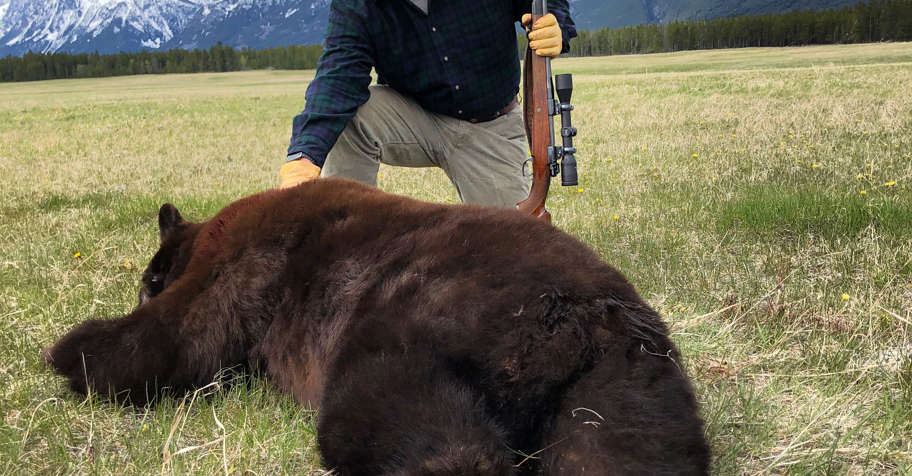BC Black Bear Hunt