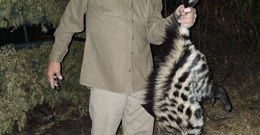 Spotted hyena and Night critter hunt