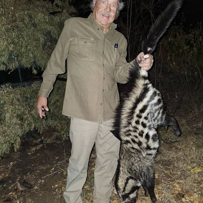 Spotted hyena and Night critter hunt