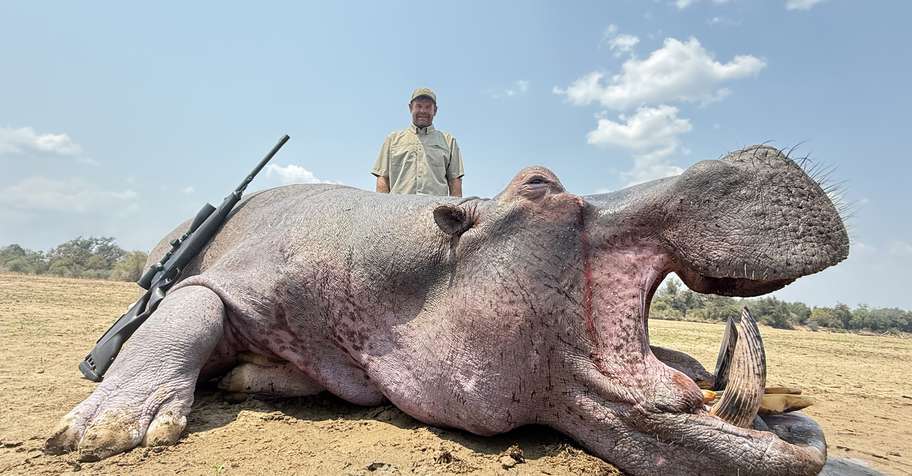 Free range Hippo Hunt with Cites
