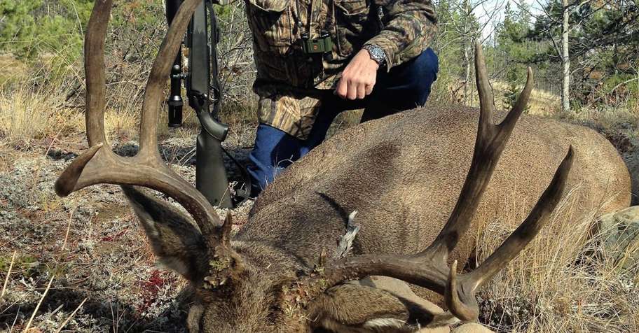 Mule Deer Ranch based hunt