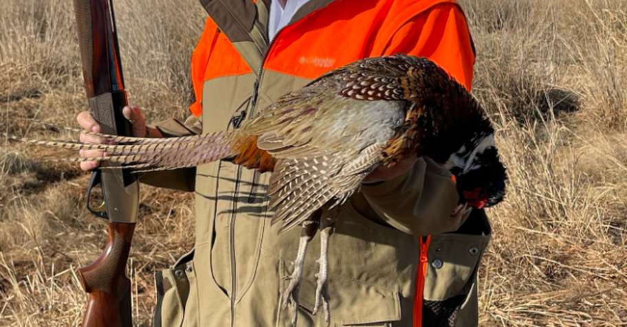 European Pheasant Tower Shoot