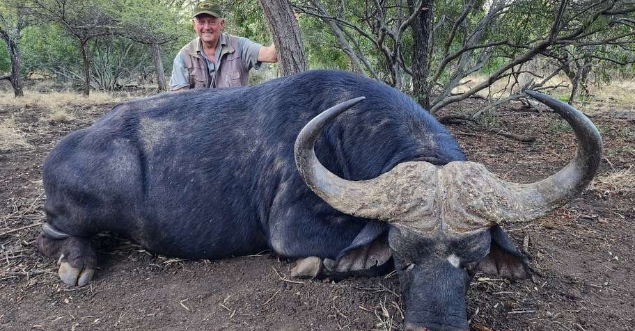 Old Bulls, Big Country – Reserve Buffalo