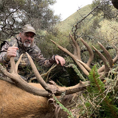 Red Stag classic up to 320 sci, 2x1