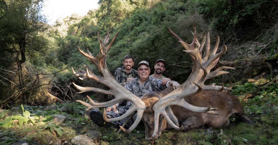New Zealand Red Stag 401-430 SCI