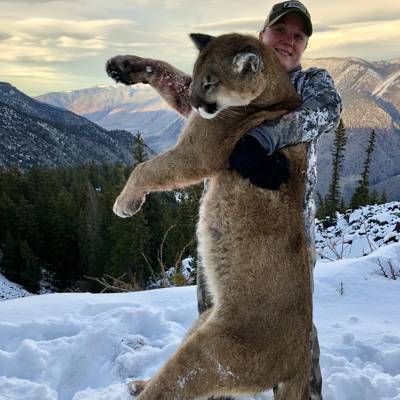 8 Day Cougar Hunt