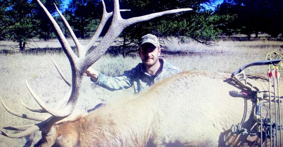 guided only BULL or COW- OTC tag incl