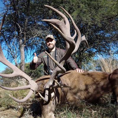 Red Stag No Score Limit Package