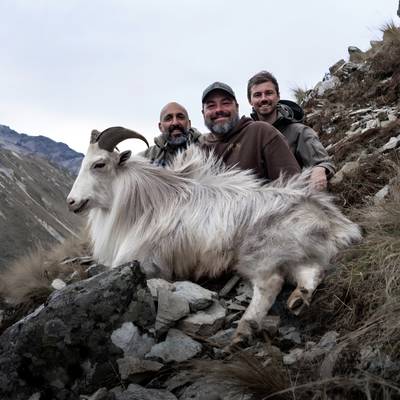 400 SCI Gold Class Red Stag & Tahr Combo
