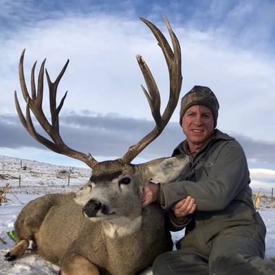 Southern Alberta Rifle Rut mule deer