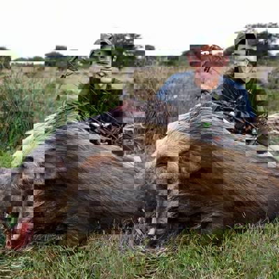 Bushpig Hunt Special