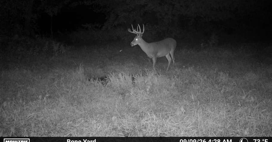 MUZZLELOADER