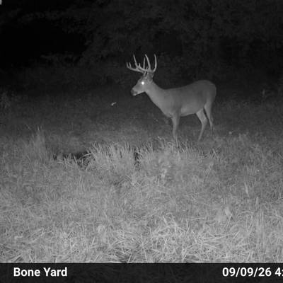 MUZZLELOADER