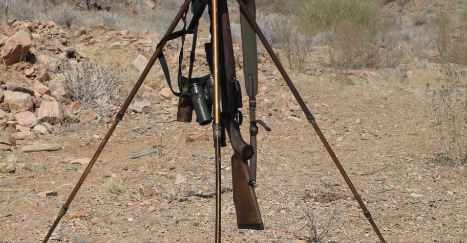 Management Hunt Sandveld Namibia