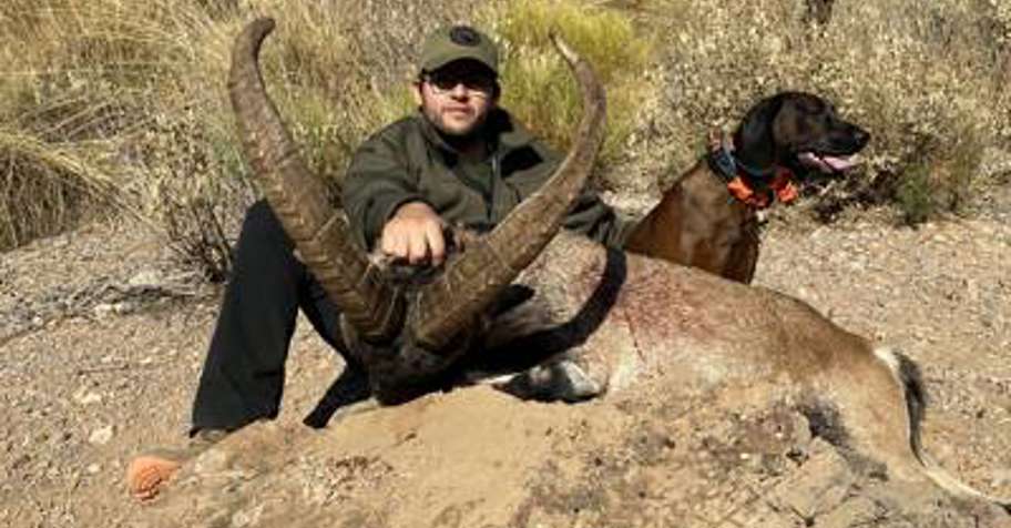 CANCELLATION MOUFLON + SOUTHEASTERN IBEX