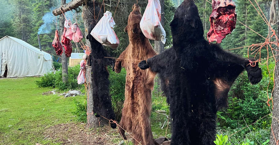 Backcountry Black Bear Hunt '26