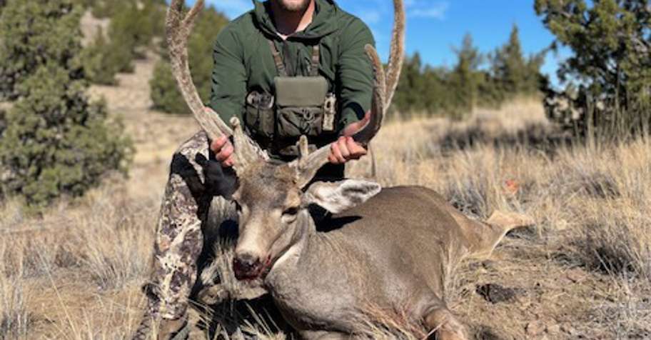 Mule Deer Hunt 2027
