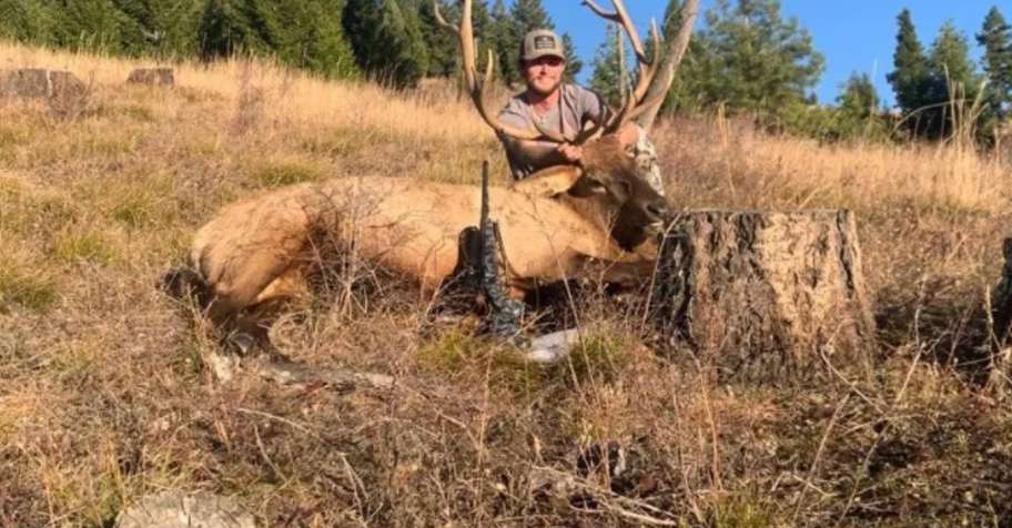 Fully Guided 5 Day Bull Elk Hunt x4