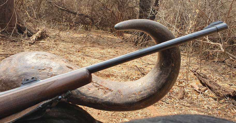 7 Day Mountain Cape Buffalo Safari 1