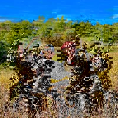 Red Stag Backcountry Expedition