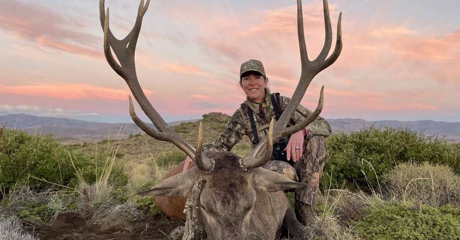 Free-range Fair Chase Red Stag Package