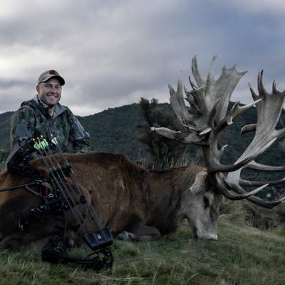 New Zealand Red Stag 521-550 SCI