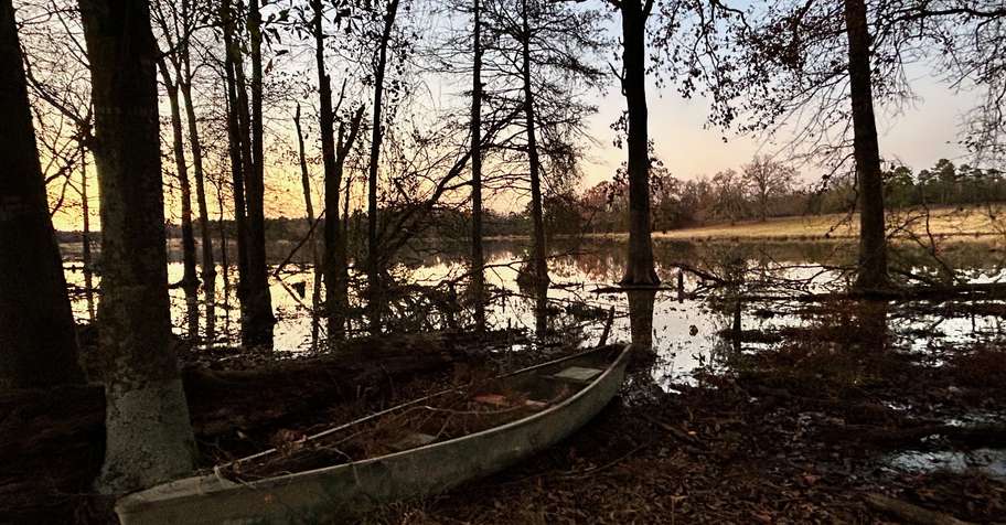 Late Season Evening Waterfowl Hunt
