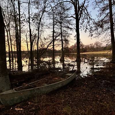 Late Season Evening Waterfowl Hunt