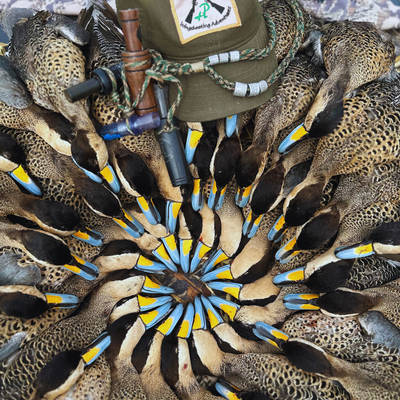 2-Day Duck & 2-Day Pigeons - 1 Hunter