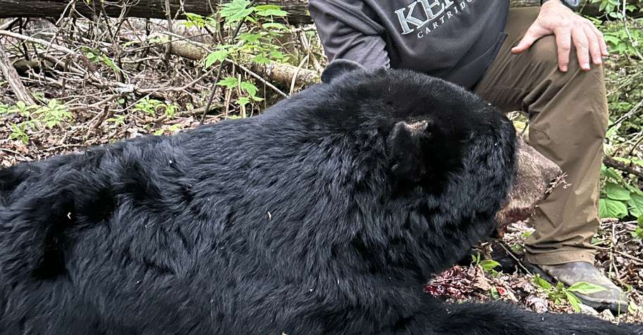 Spring black bear/fishing Newfoundland