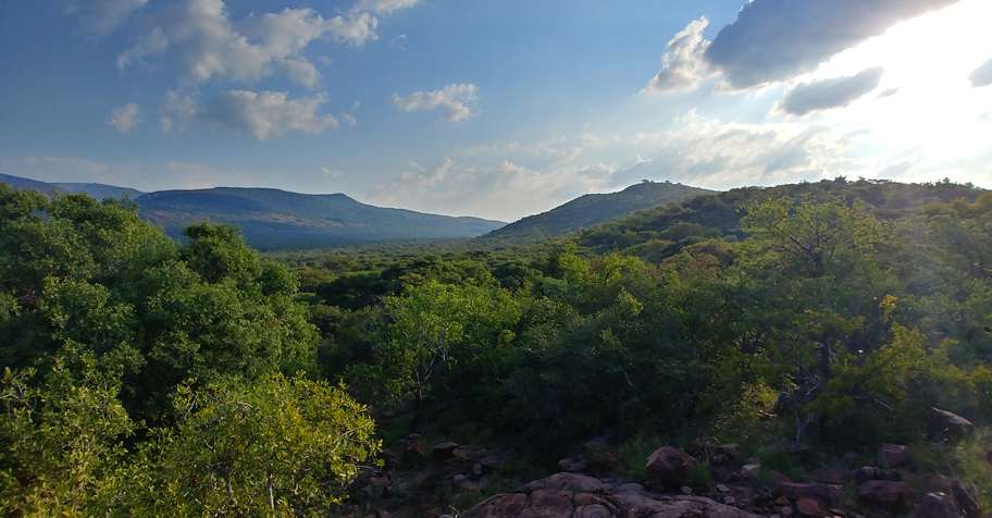 10 Day Mountain Buffalo & Cow Package