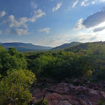 10 Day Mountain Buffalo & Cow Package