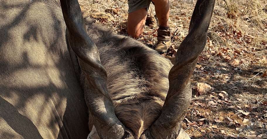 Sandveld Show Special 2026