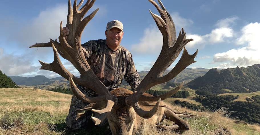 Red Stag Hunt 1x1 / Wellington, New Zealand - BookYourHunt.com