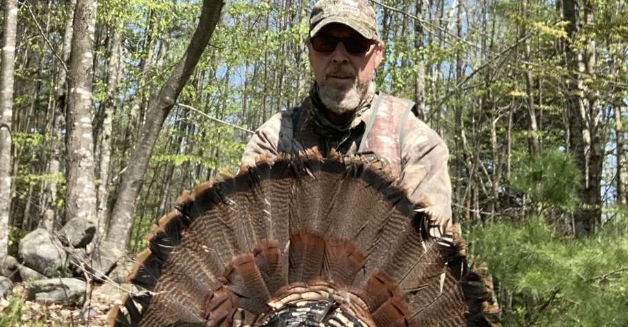 Guided Single Day Turkey Hunts 2026