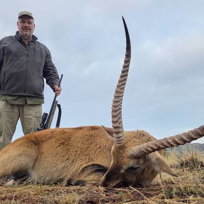 Package 1 - Plains Game Safari (1:1)