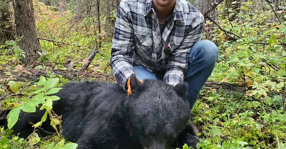 Alberta Black Bear Hunt