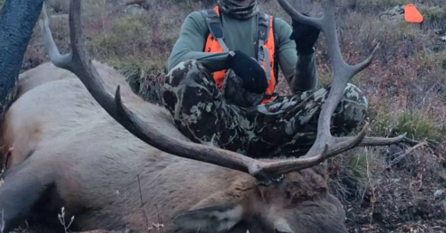 Fully Guided 5 Day Bull Elk Hunt