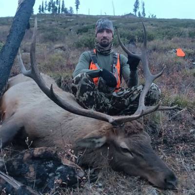 Fully Guided 5 Day Bull Elk Hunt