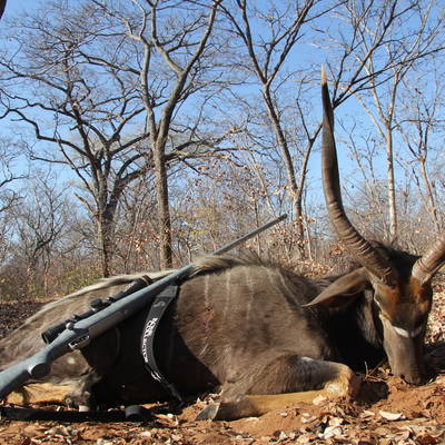 7 Day Greater Kudu & Nyala for 2 Hunters