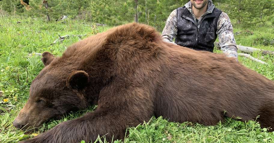 6 Day Big Boar Black Bear Hunt-