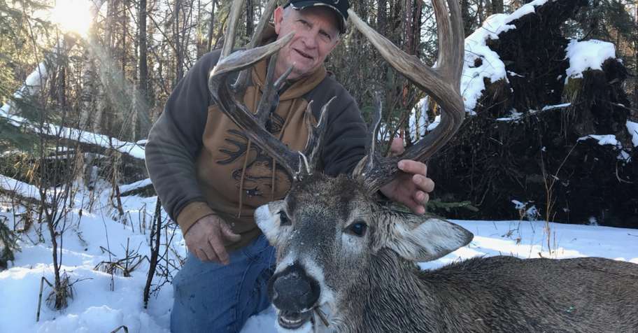 Whitetail/mule deer and wolf