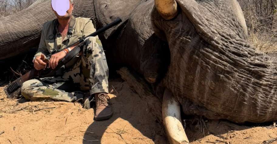 Elephant Trophy Package