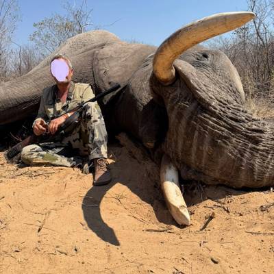 Elephant Trophy Package