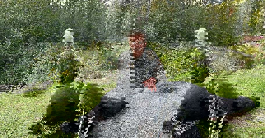 Fall Bear 2027 *5 day Hunt 2 bear option