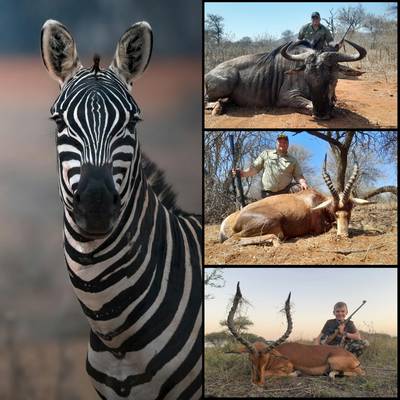 Bushveld Beginner - 4 Trophies