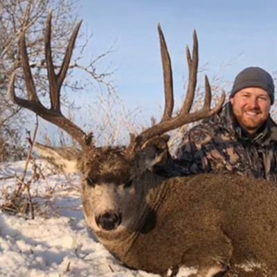 Mule Deer Hunt 2:1 2026